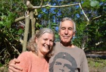 ‘Let us join Noosa,’ say Doonan residents