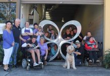 Roof above for Butterflies