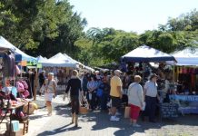 Market dirty on dogs