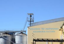 Nut factory gets cracking after roast room fire