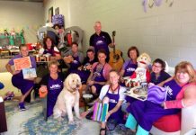 Butterflies seek a new home