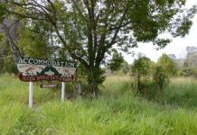 Pole position rankles