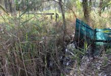 Riled up over Roundup