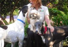 Dogs aren’t born mean