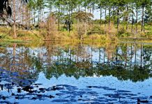 Dam water reduced for probe