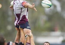 Dolphins swim to victory