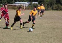 Eagles dare in style