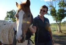 Horsing around to cut stress