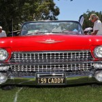 NT-Cars1_128554_06.jpg
