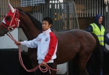 Punters jump on Bande wagon