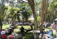 Smooth sounds jazz up club picnic