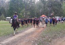 Carry the memories, always