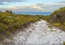 Coast care all year round