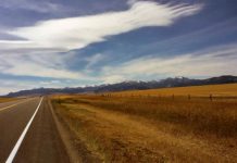 Take a break and arrive alive