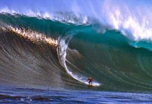 Top surfers descend on Noosa
