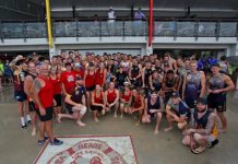 Lions feast on sheep brains