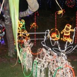 wpid-NT-xmas_132565_06.jpg