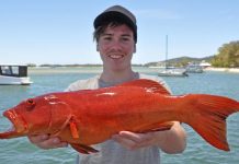 Big bites and balmy weather