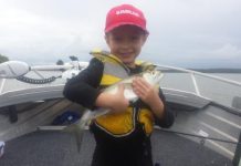 Mackerel on the improve