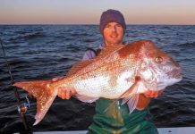 A piscatorial paradise