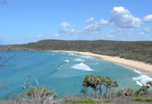 Beauty and the beach