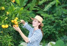 Growing healthy habits