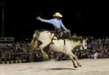 Big beef with this clown