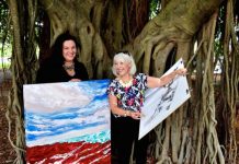 Beauty of a fragile coast