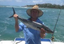 Bagging out on mackerel