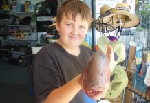 Got to love those mackerel