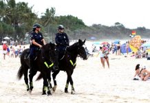 Saddled up on the sand