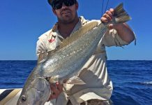 Offshore has been firing