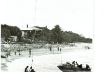 They called us the ‘rare breed’