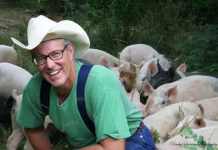 Local food the solution