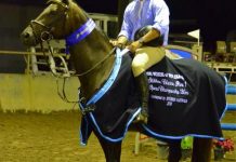 Twists and turns as the clock ticks down