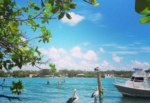 Snap up a perfect setting