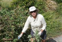 Fresh blood, fresh drive