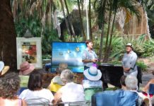 Affinity for the arts