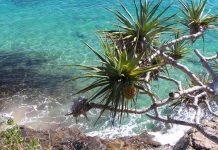 Youth leave, incomes low