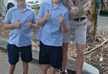 Greyhound and the zoo