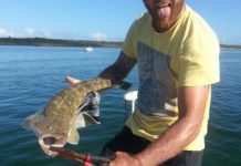 The sun is back, and so are the fish