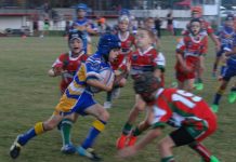 Training pays off for Pirates