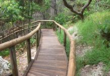 Works in council’s sights