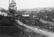 Leaves fall as the fallen