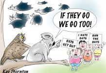 Letters to the Editor