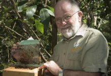 There’s a buzz about these bees