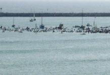 View from the streetscape