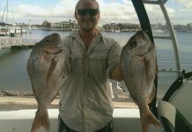 Great captures, more on horizon