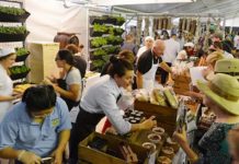 The food’s the thing