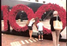 Poppies make the trek